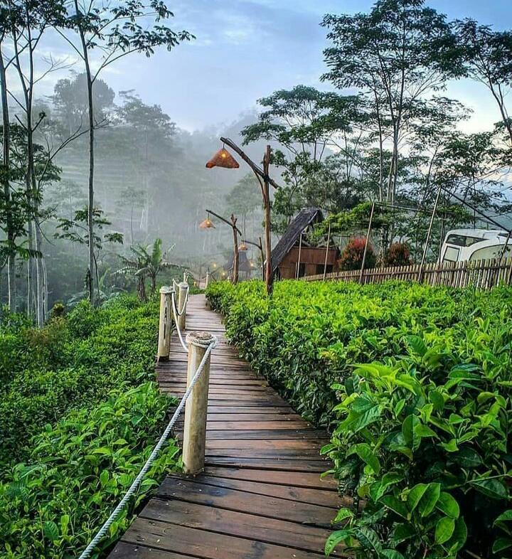 Desa Tanjungwangi